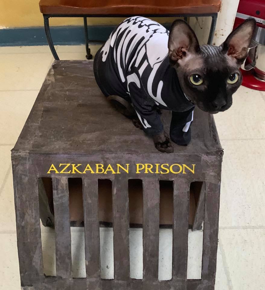 Azkaban Jail